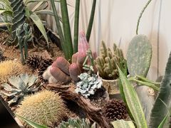 -J Create城市露营咖啡·简餐·宠物(上海动物园店)