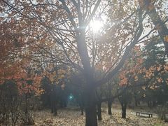 -国家植物园南园