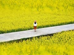 -东梓关景区村庄
