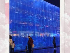 -成都浩海立方海洋公园