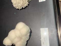 -正佳自然科学博物馆