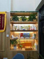 -丝客富脱发养发头皮馆