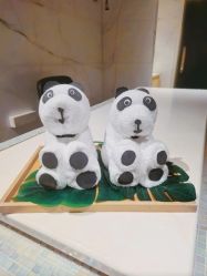 -广州四季酒店·花水疗中心·高空Spa