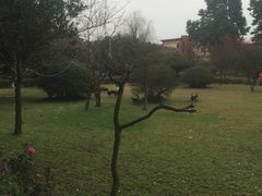 -天赐温泉