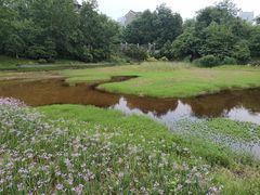 -重庆彩云湖湿地公园