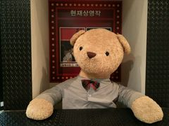 android_upload_pic-济州岛泰迪熊博物馆