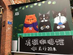 景观位-有猫主题·治愈系猫咖(曾厝垵店)