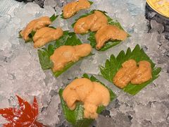 -月龍吟(朝龙汇店)