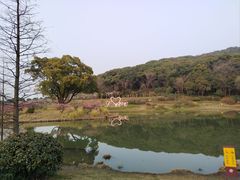 -无锡梅园公园