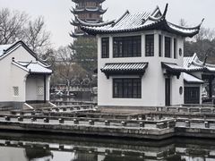 -常鲜德乐购迎桂馒头店(麻巷公寓店)