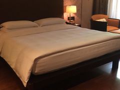 -上海崇明金茂凯悦酒店