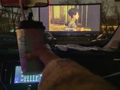 -枫花园汽车电影院(朝阳公园店)