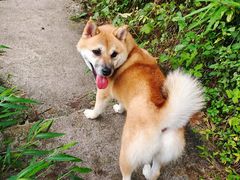 -龙窝子