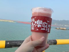-南澳岛打卡果汁冰公司