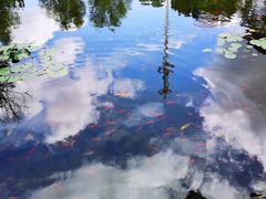 -白马涧龙池景区