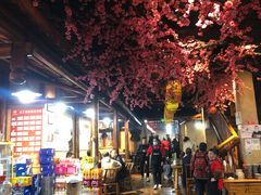 -张关合渣(朱家坳店)