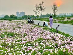 -汉长安城未央宫国家考古遗址公园