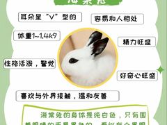 -博特宠物医院24h犬猫全科.骨科·异宠