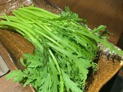 茼蒿-快乐小羊·内蒙牛羊肉火锅(流花中心店)