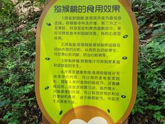 -大岭沟猕猴桃谷风景区