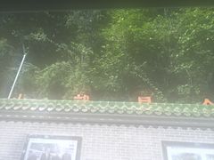 -广东温泉宾馆