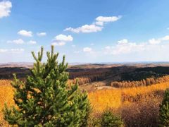 -塞罕坝国家级自然保护区