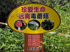 -马峦山郊野公园
