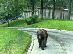 -北京野生动物园