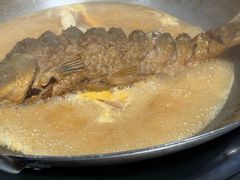 -阿五黄河大鲤鱼(英协路店)