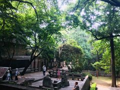 -青岛崂山太清宫