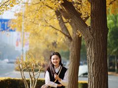 -三里屯东五街银杏大道