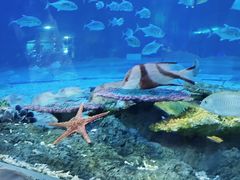 -华夏文旅海洋公园