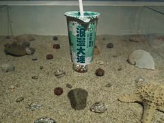 -心乐生活新鲜屋(星海广场店)