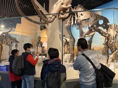 -国家自然博物馆