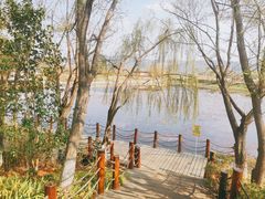 -月亮湾湿地公园