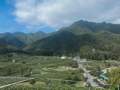 -龙坞茶村