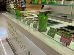 -Salud撒露欧洲冻酸奶(五道口购物中心店)
