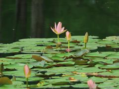 -白鹭湾湿地公园