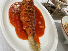 -聚春园自助餐厅(东街口店)