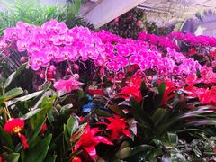 -三旗百汇商品城