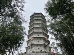 -深圳国际园林花卉博览园