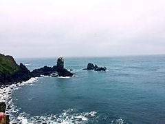 -涉地可支