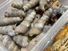 和味炒丁螺-贞姨美食·老字号海鲜大排档