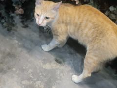 -海底捞火锅(番禺广场店)