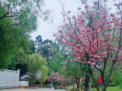 -黑龙潭公园