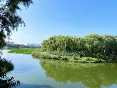 -大兴滨河森林公园