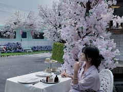 -Blue Concept Cafe&Farm·關於藍