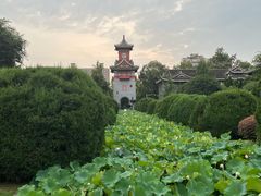 -四川大学(华西校区)