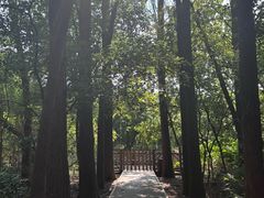 -同里国家湿地公园