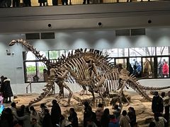 -自贡恐龙博物馆